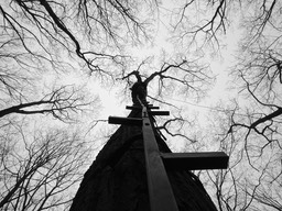 (61) 4/21,22,23/2017 Appalachian Trail on West Mt.Harriman State Parktrail rehabilitation - continues