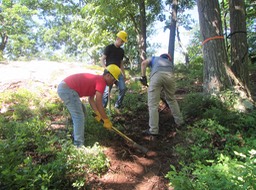 23-Timberland digging