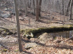 36-New stepping stone crossing