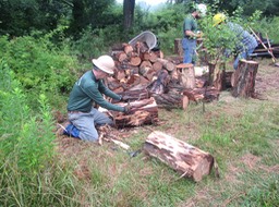 12- Russ peels the bark off a log