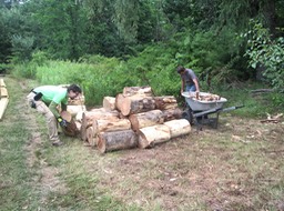 25- All logs stripped of their bark