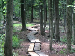 7- meandering trail