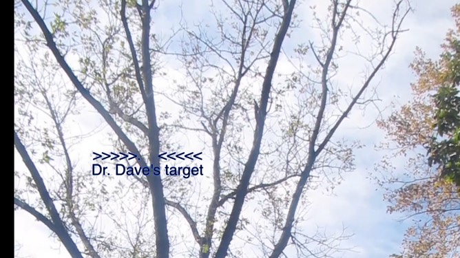 dr-dave-and-the-big-slingsh