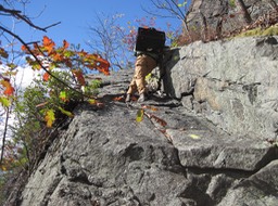 (15) 10/30/14<br>Saw crew on the S-BM trail <br>on Pyngyp Mountain