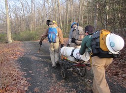 2015 cover